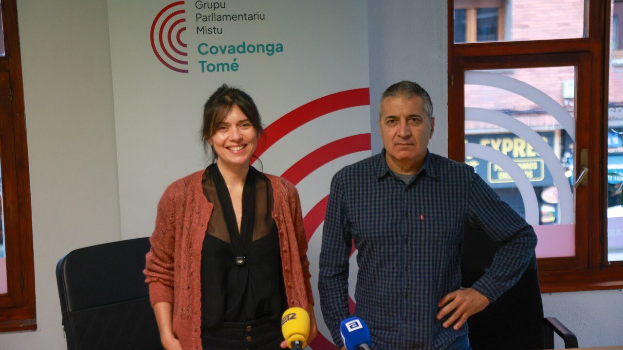 Somos Asturies aprueba de los Presupuestos de 2026: «Queremos una comunidad robusta en derechos y débil en privilegios»