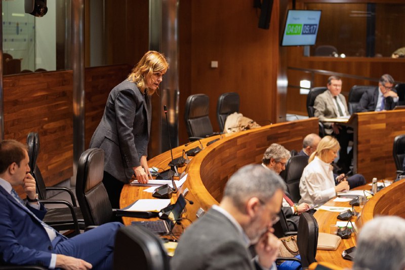 «La expansión de la universidad privada es una opción política deliberada que favorece el interés empresarial frente a la igualdad»