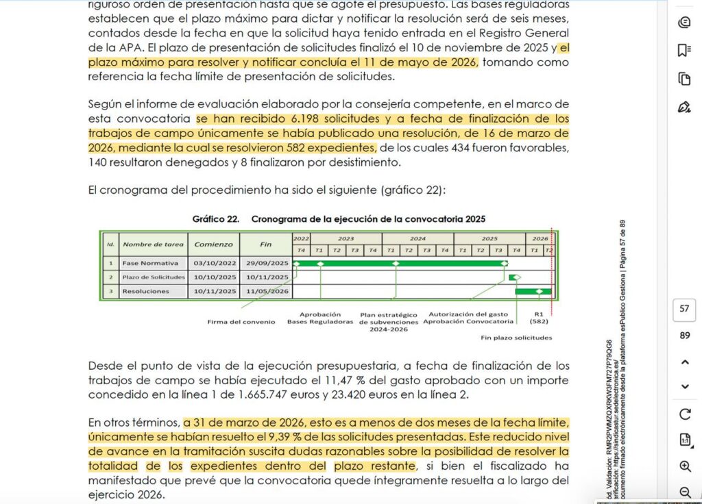 Captura de pantalla del informe de la Sindicatura de cuentas