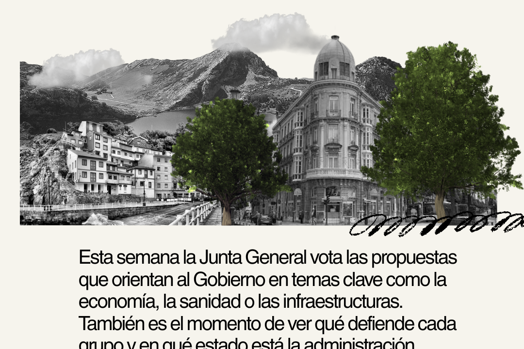 19 propuestas para garantizar que vivir en Asturies, y vivir bien, sea posible: Covadonga Tomé presenta sus iniciativas en la Xunta Xeneral