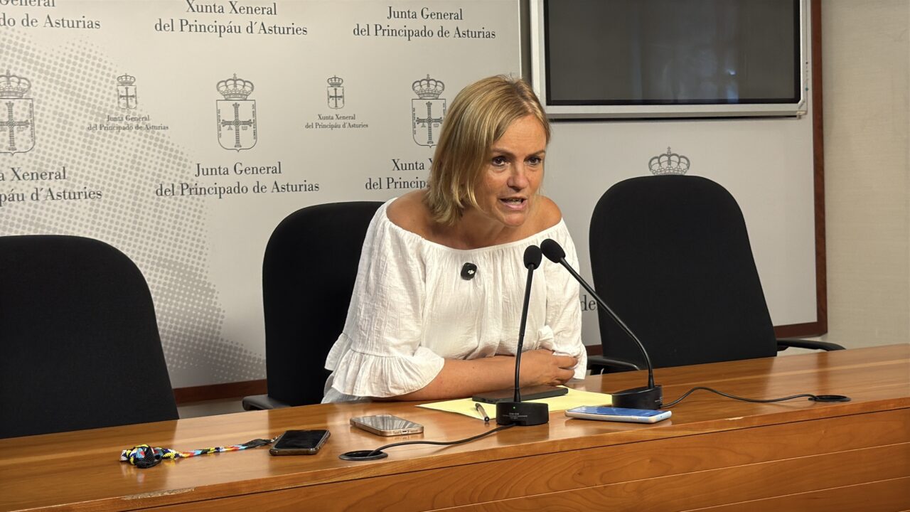 Vivienda, servicios públicos y tasa turística: Covadonga Tomé marca las prioridades del último curso parlamentario